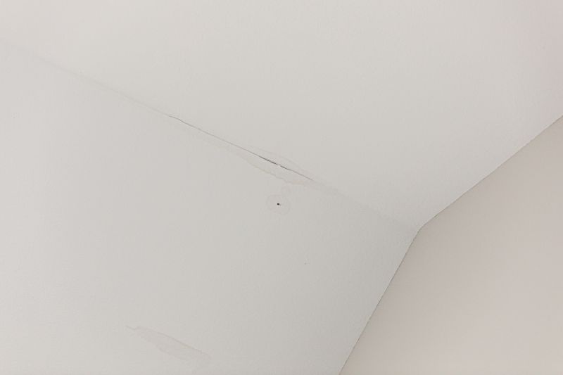 Attic Water Damage Repair in Katy, TX