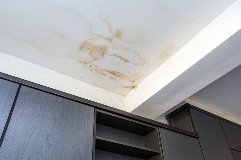 Ceiling Leak Repair Service in Houston, TX